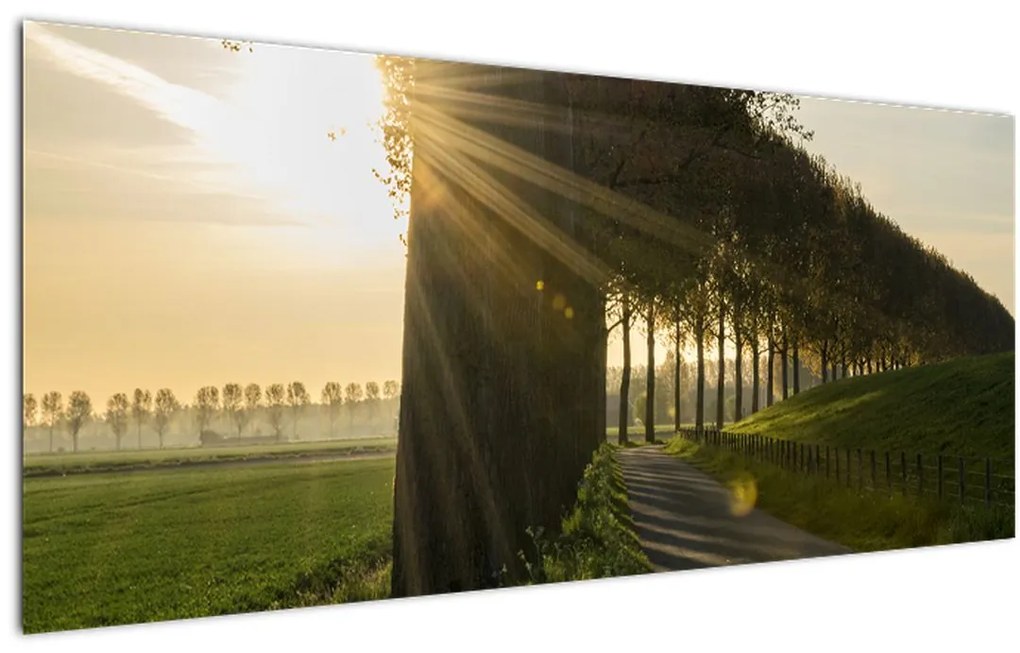 Tablou cu alee (120x50 cm)