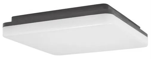 Plafoniera LED de exterior moderna IP54 TOMMY NVL-9521002