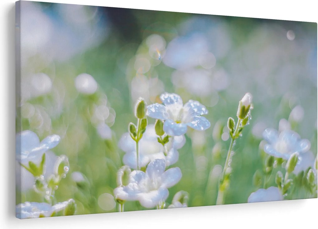 Tablou - Flori delicate (90x60 cm)