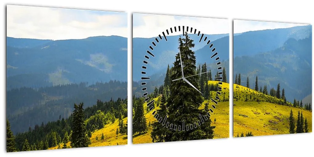 Tablou - Lunca de munte (cu ceas) (90x30 cm)