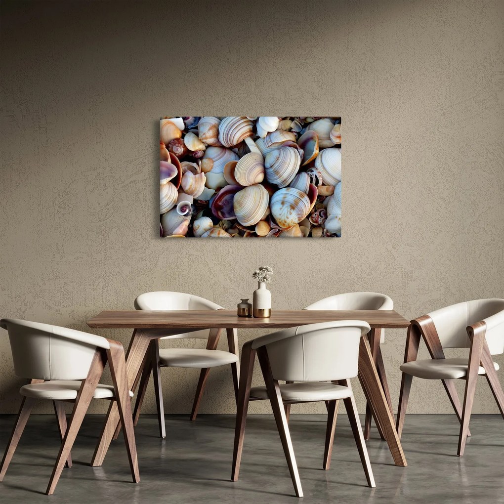 tablou cu scoici (90x60 cm)