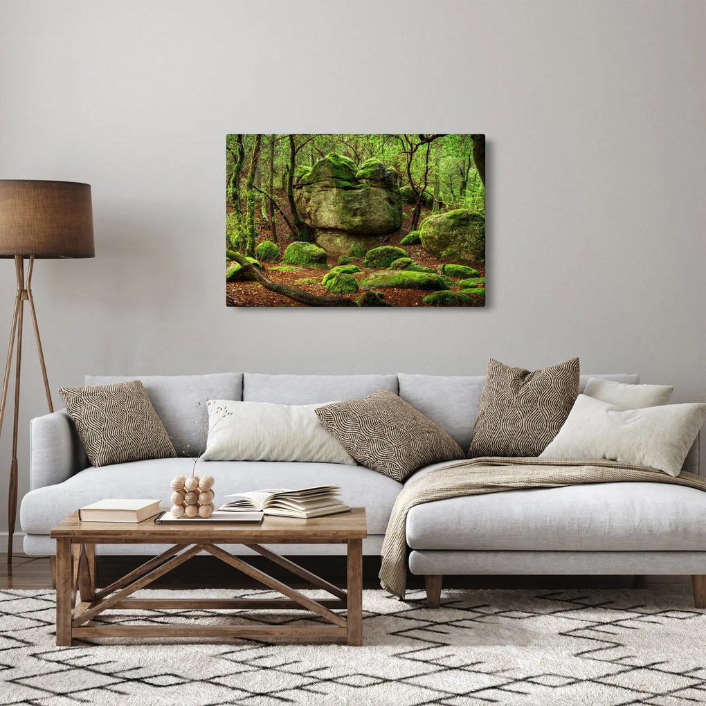 Tablou cu pădurea fermecată (90x60 cm)