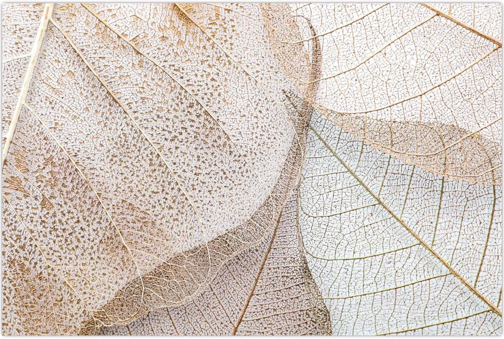 Tablou - Frunze bej (90x60 cm)