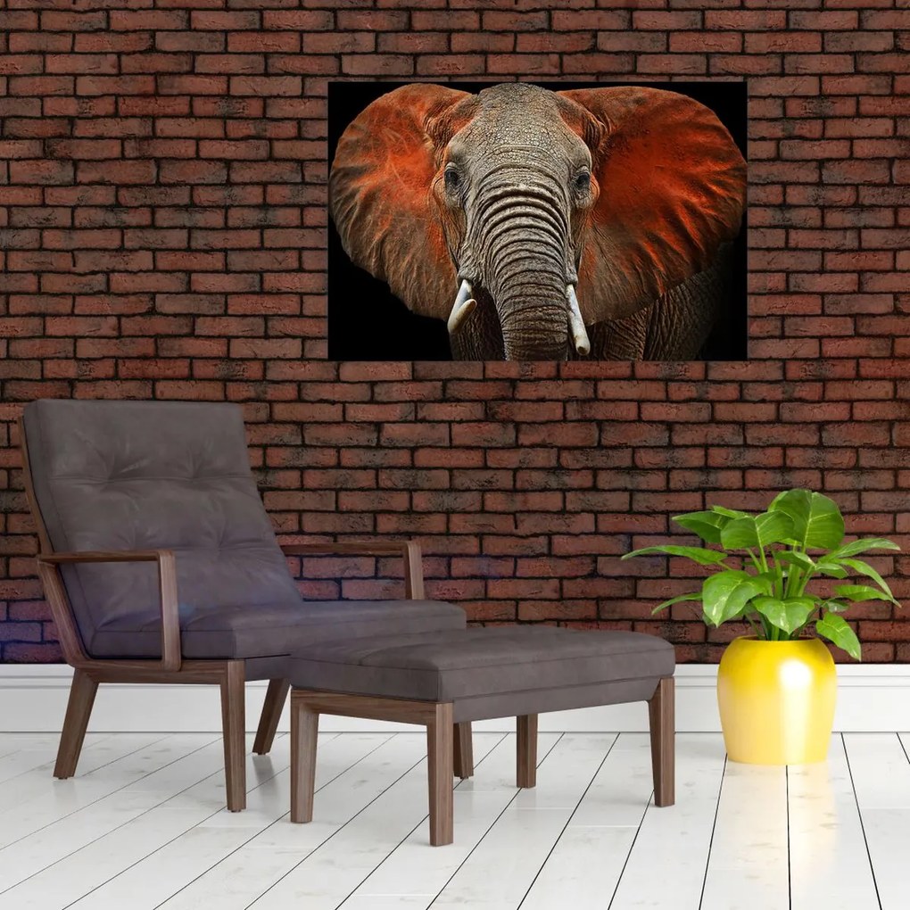 Tablou - Elefanți cu Tsavo (90x60 cm)