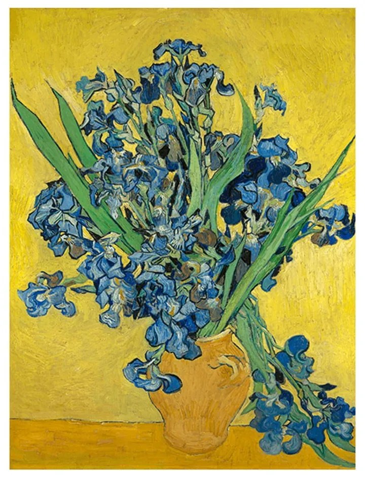 Reproducere pe pânză după Vincent van Gogh - Irises, 60 x 45 cm