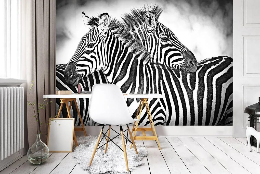 Fototapet - Zebra (254x184 cm)
