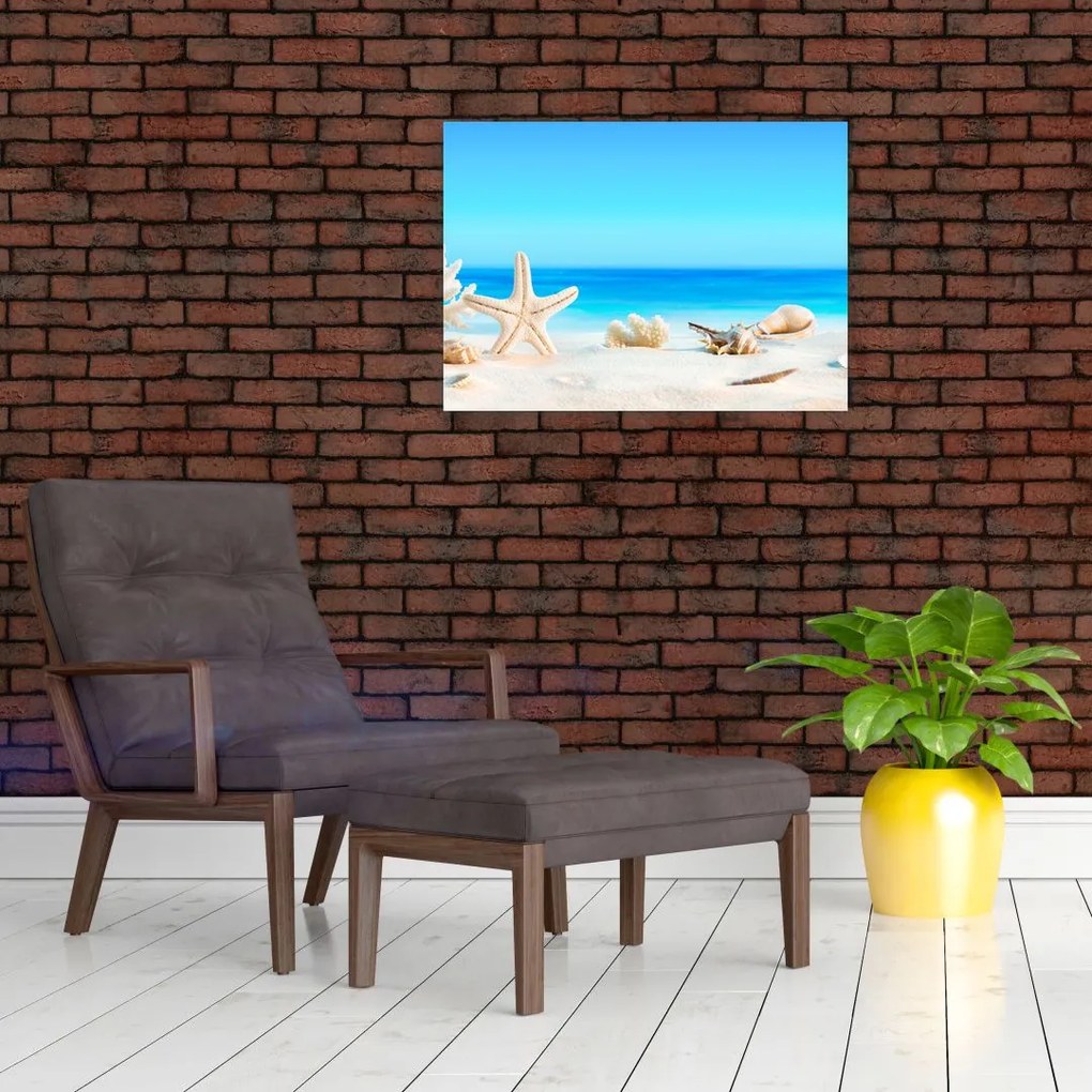 Tablou - Natura morta cu scoici (70x50 cm)