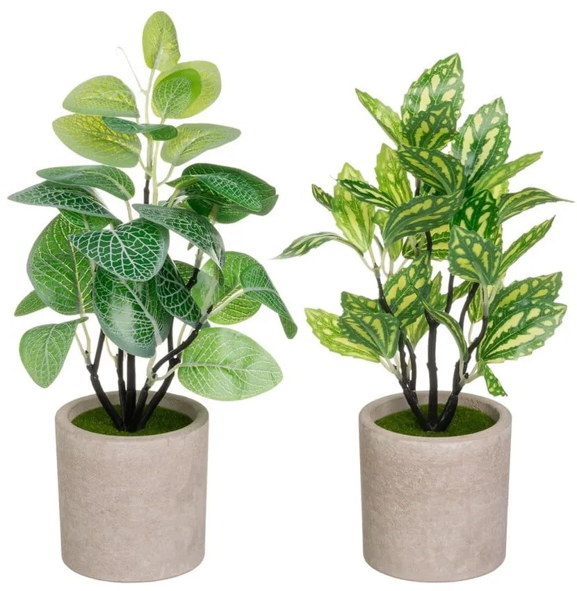 Plante artificiale 2 buc. (înălțime 28 cm) – Casa Selección