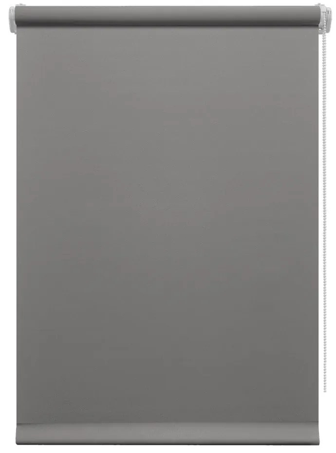 Jaluzea gri închis 42,5x150 cm Mini Relax – Gardinia