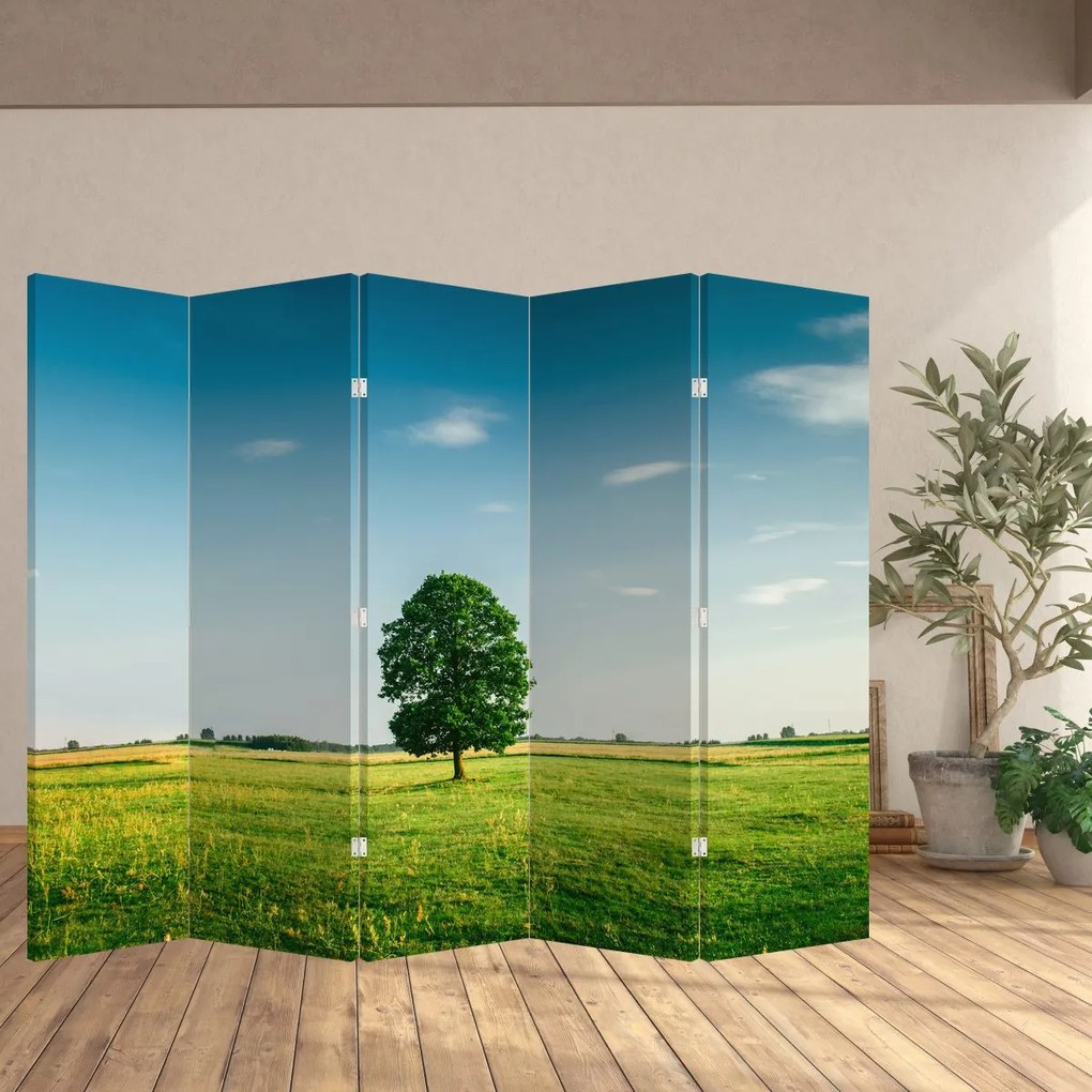 Paravan - Copaci pe luncă (210x170 cm)