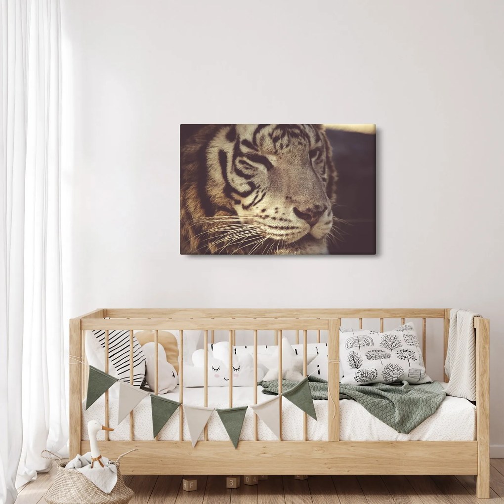 Tablou cu tigrul (90x60 cm)