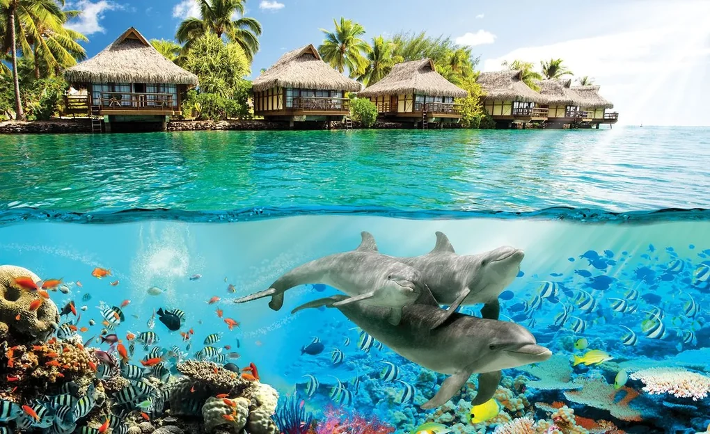 Fototapet - Delfini la Hawai (152,5x104 cm), în 8 de alte dimensiuni noi