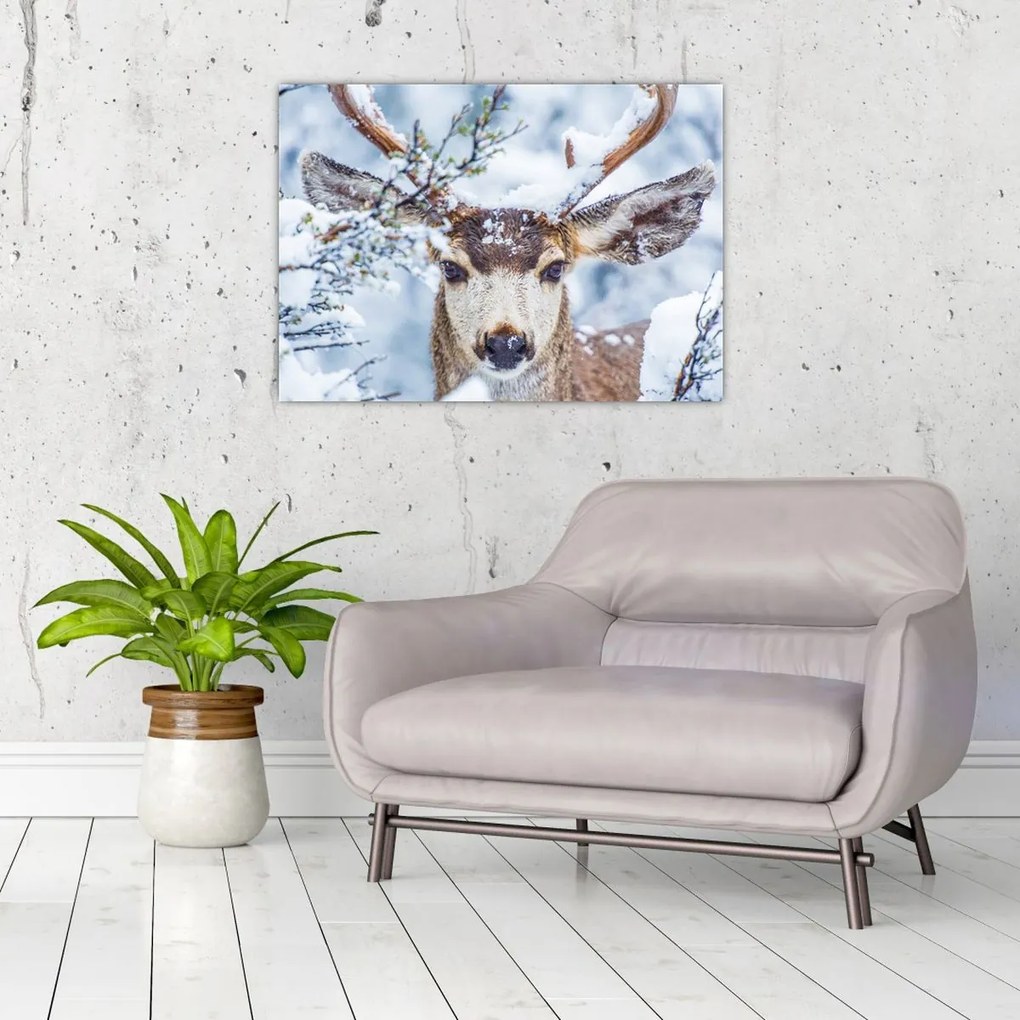 Tablou - Cerbul catâr (70x50 cm)
