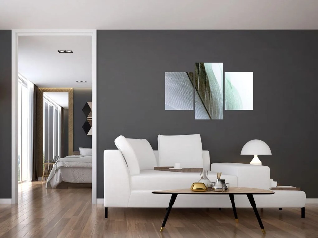 Tablou - Pene, macro (90x60 cm)