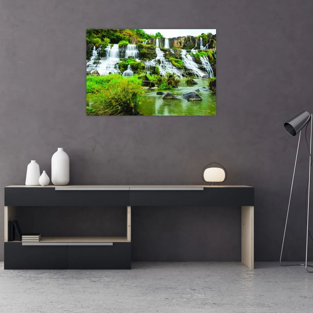 Tablou - cascade cu plante (90x60 cm)