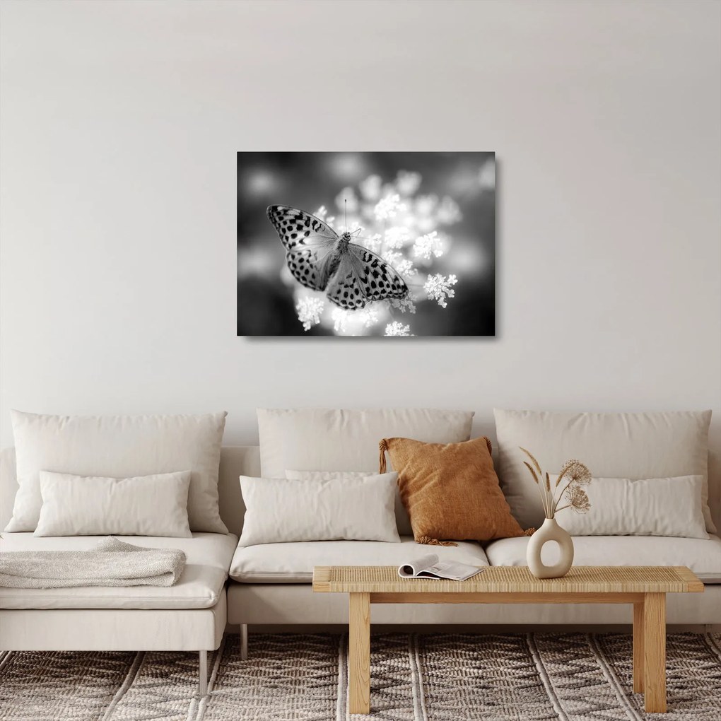 Tablou pe sticlă - Detailu cu fluture care polenizează floare (70x50 cm)