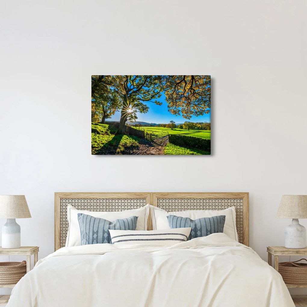 Tablou Privire la câmp (90x60 cm)