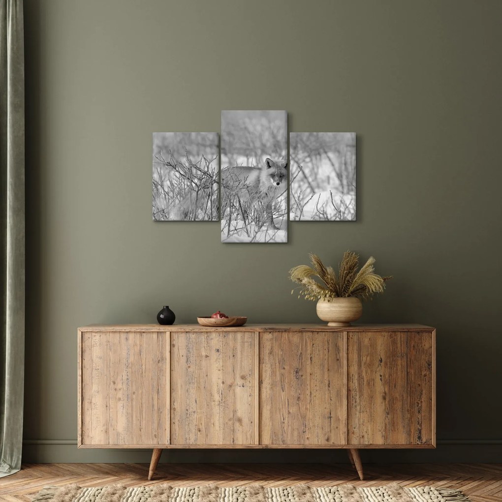 Tablou - Vulpe,alb-negru (90x60 cm)