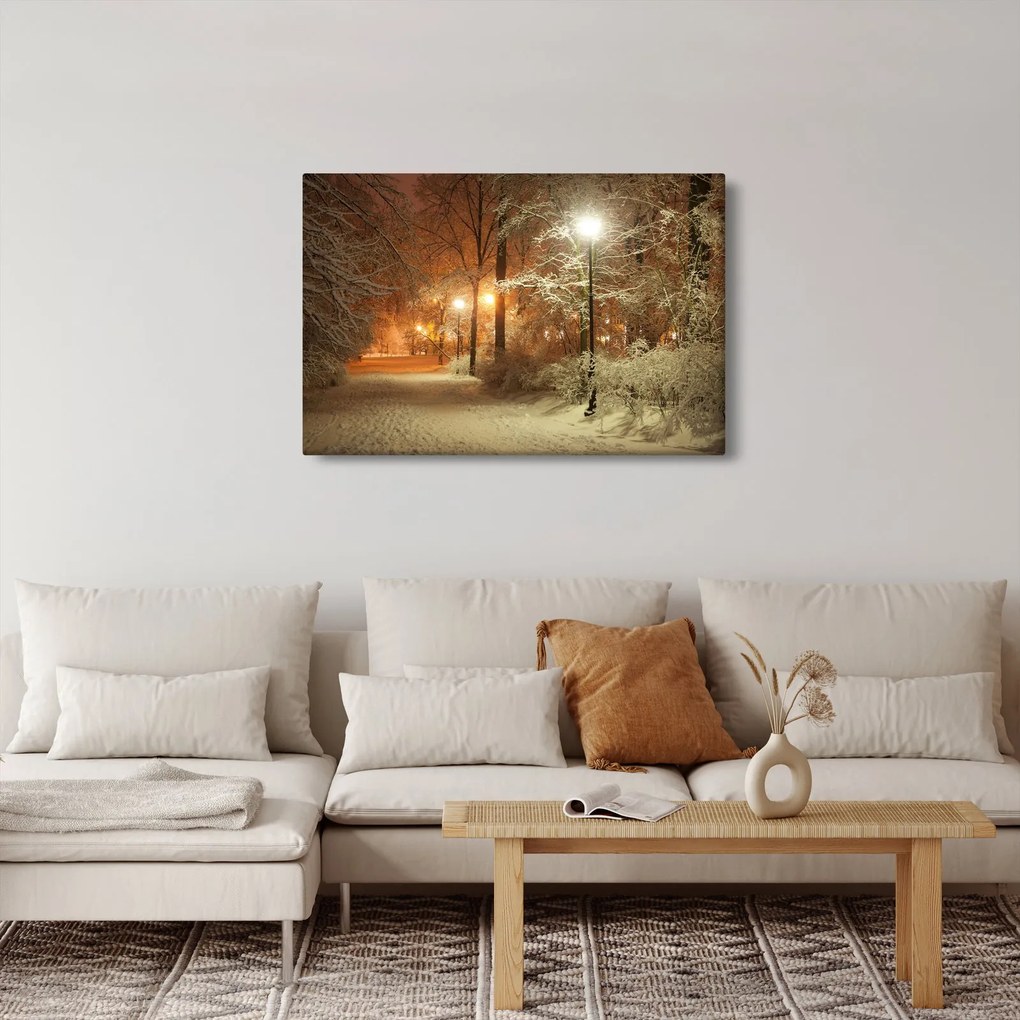 Tablou - Parcul înzăpezit (90x60 cm)