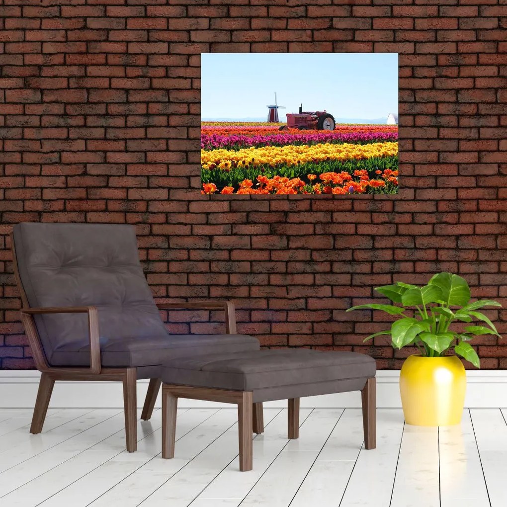 Tablou cu farma de lalele (70x50 cm)