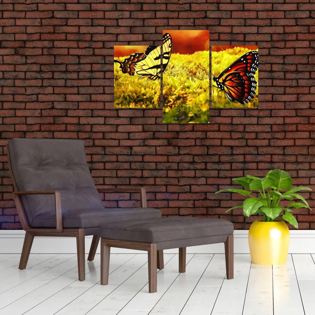 Tablou cu fluturi (90x60 cm)