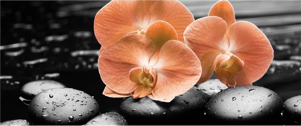Tablou - Orhidee portocalii (120x50 cm)