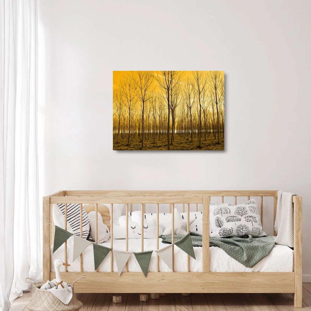 Tablou pe sticlă cu pădure în apus de soare (70x50 cm)