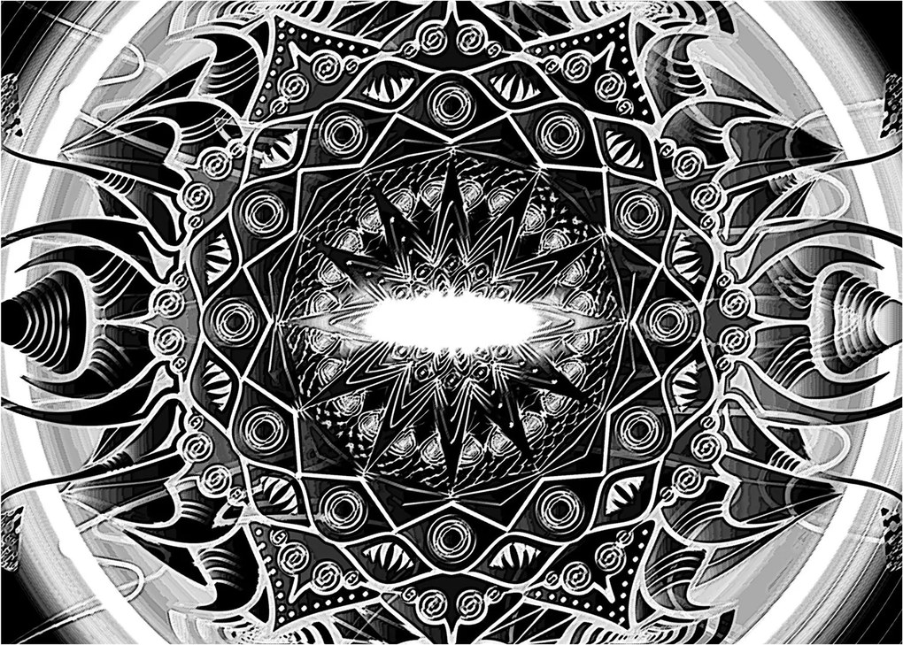 Tablou cu ornamente alb negre (70x50 cm)