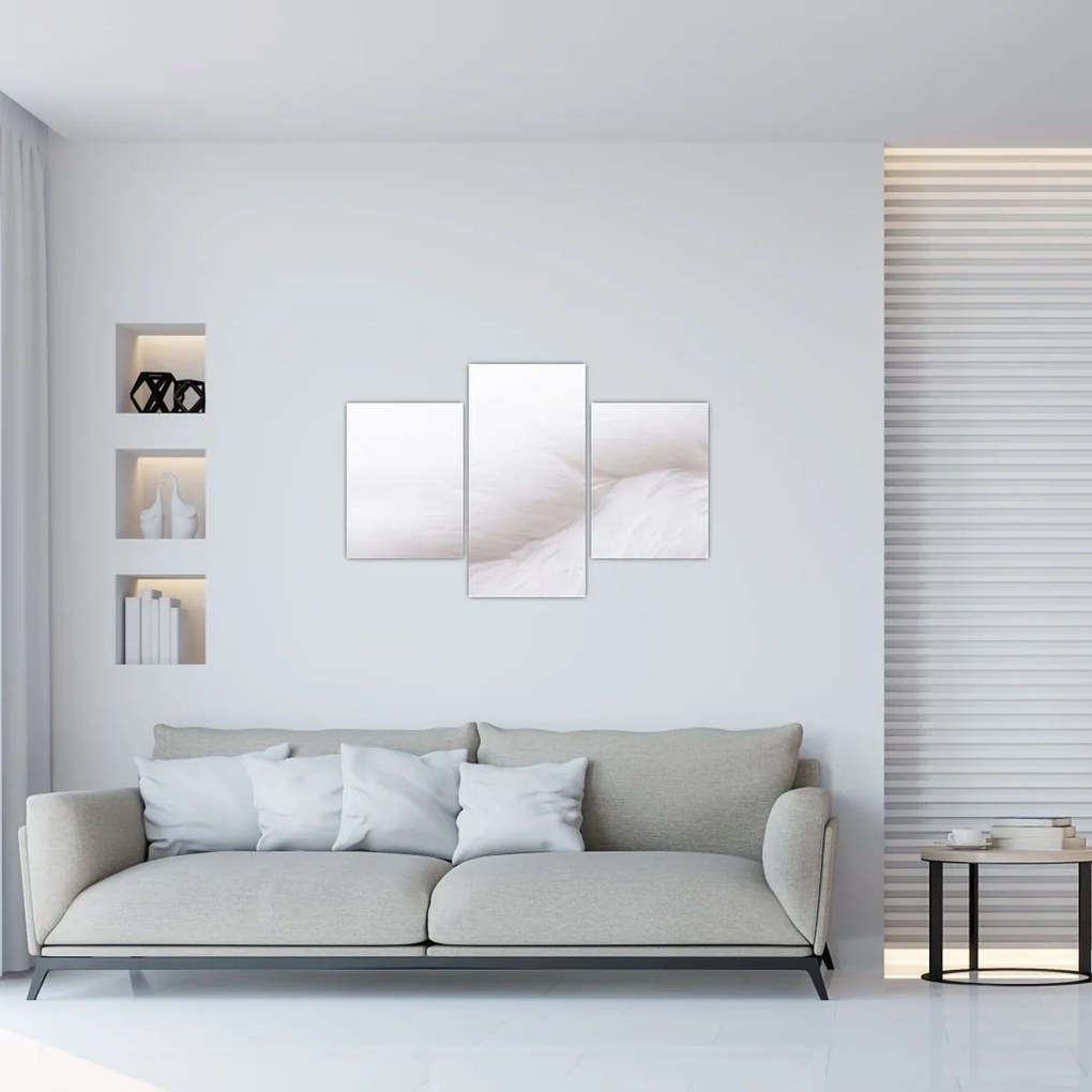Tablou - Pană albă (90x60 cm)