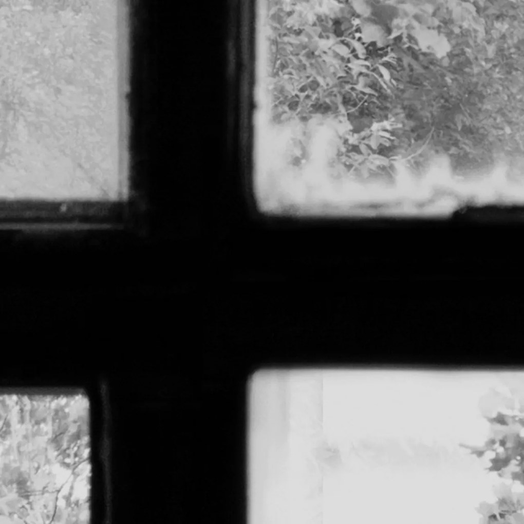 Fototapet, Factory Window, Graphite, Rebel Walls