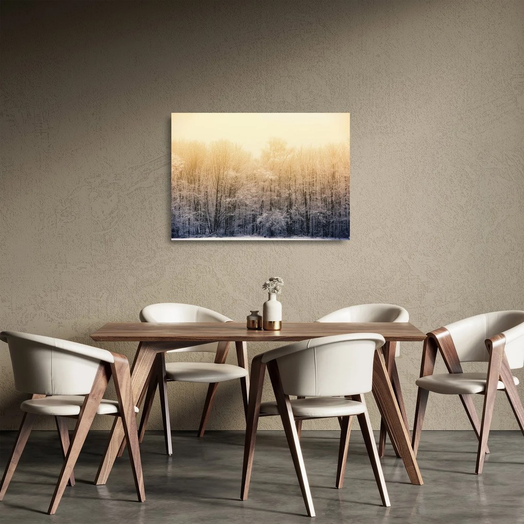 Tablou pe sticlă cu pădure geroasă (70x50 cm)