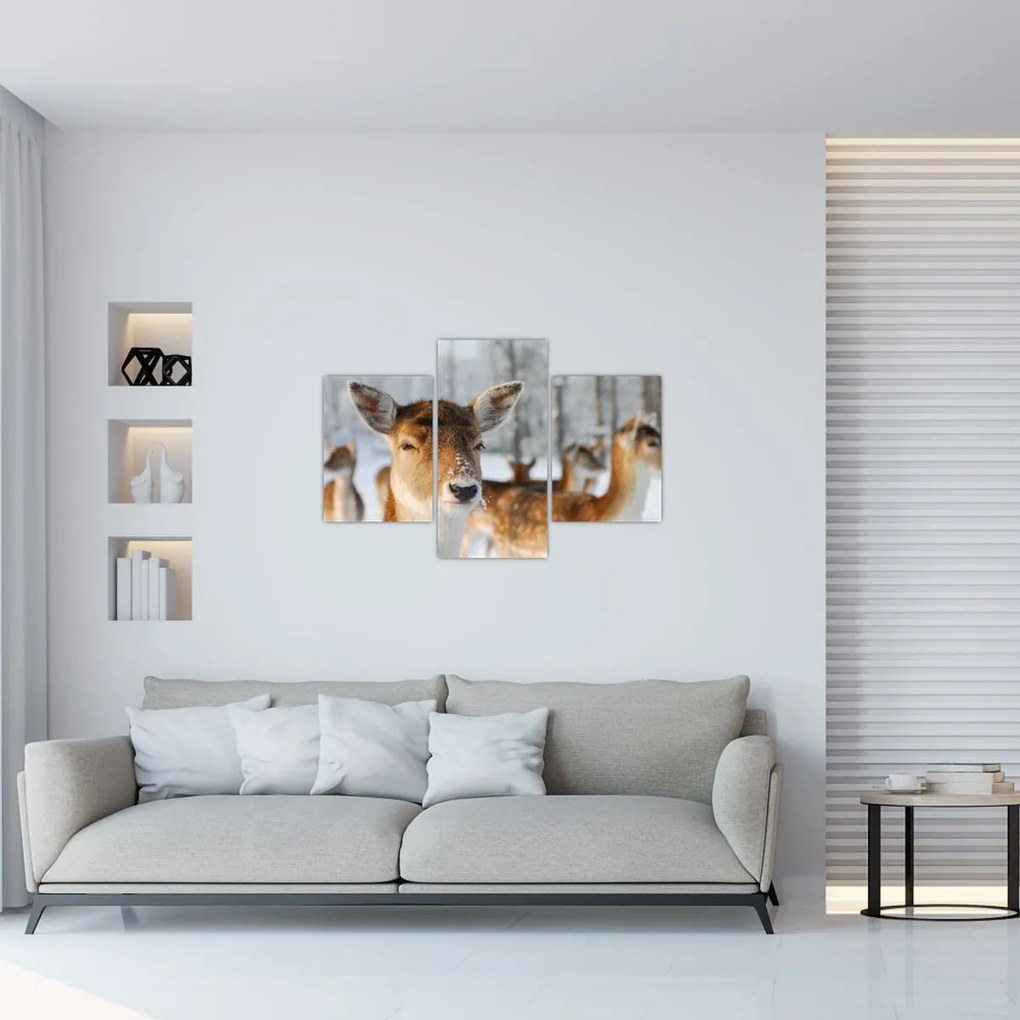 Tablou - Cerbi (90x60 cm)