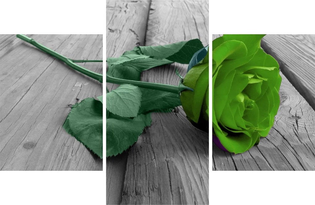 Tablou - Trandafir verde (90x60 cm)