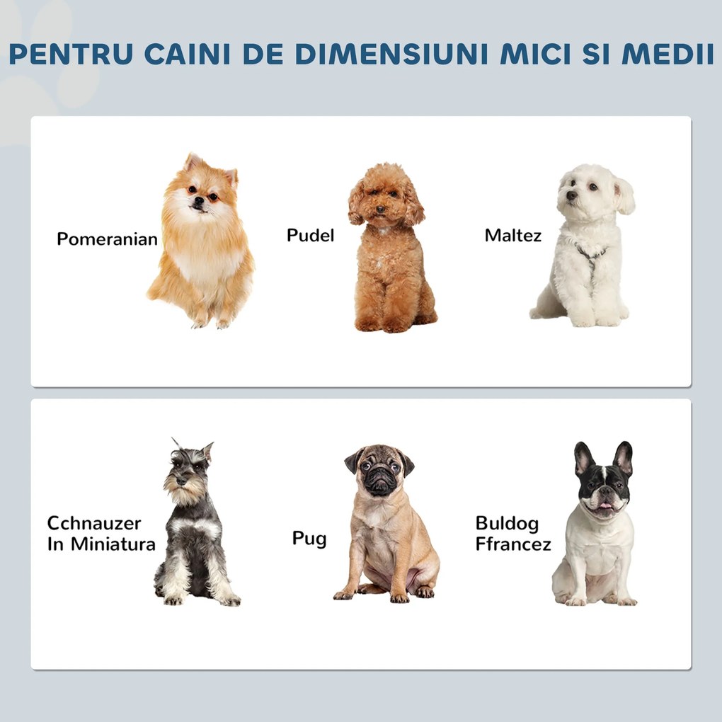 PawHut 2 Boluri Înălțate din Oțel Inoxidabil pentru Câini, Gri | Aosom Romania