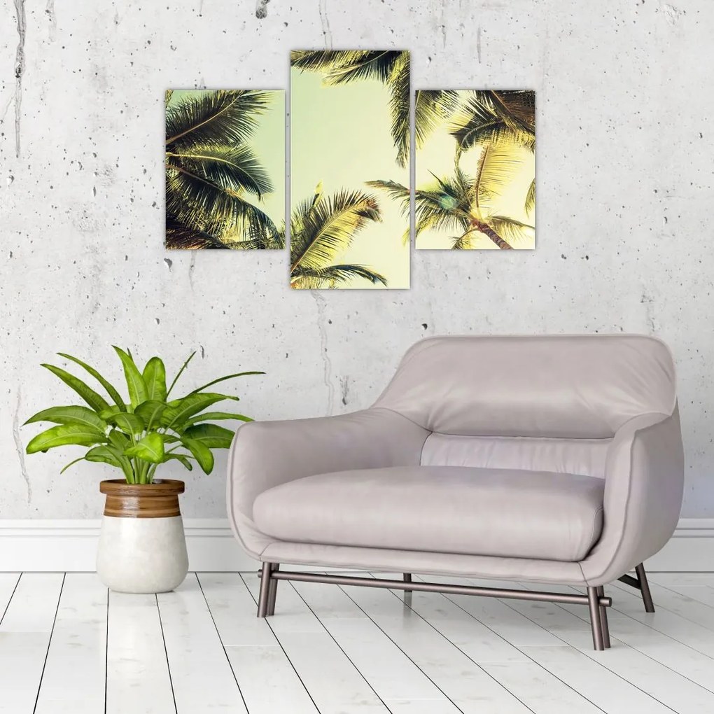 Tablou - Palmieri de cocos (90x60 cm)