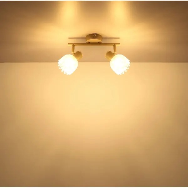 Globo PLANTA 54317-2 - Lampă spot 2xE14/40W/230V