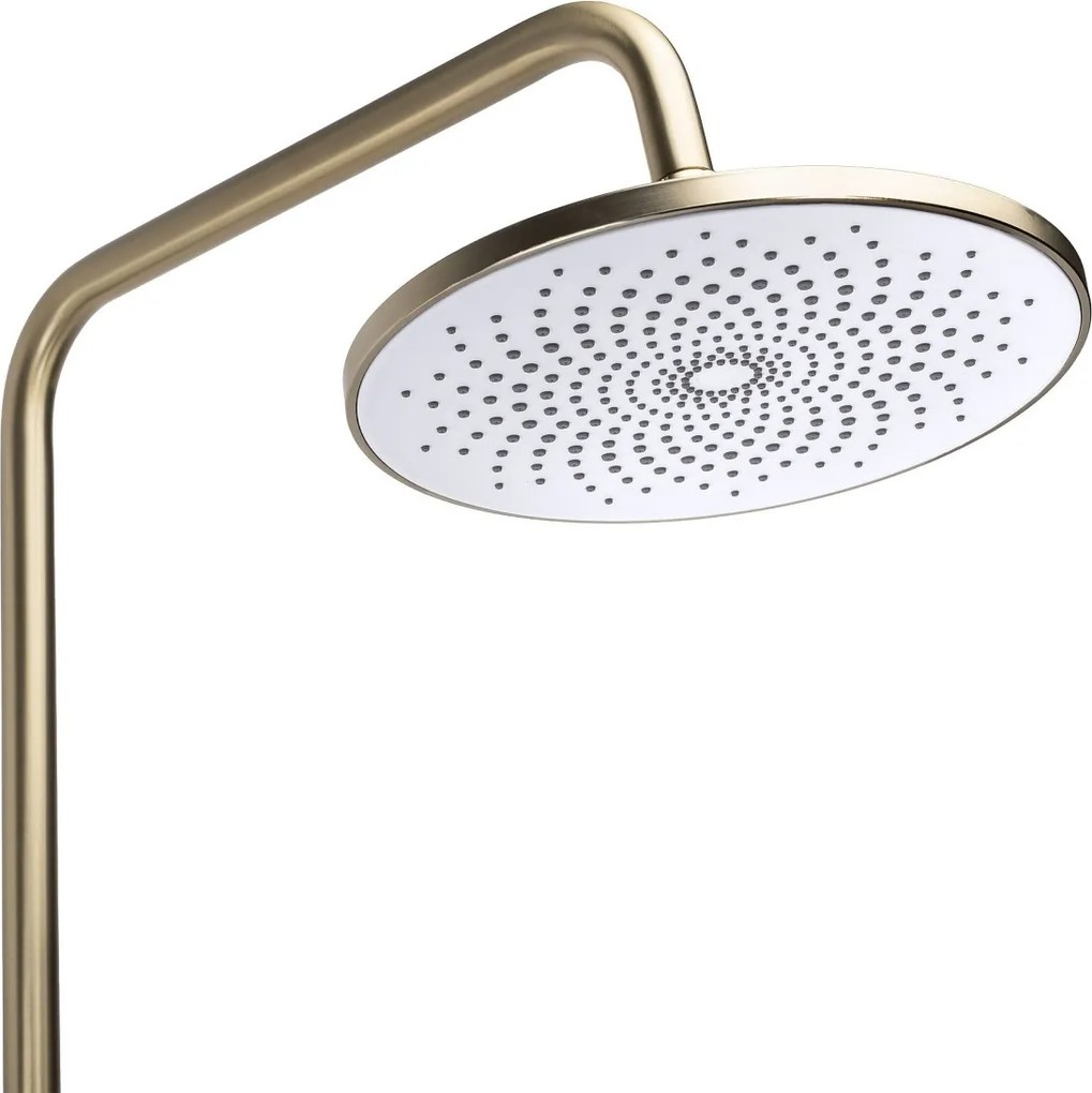 Set dus Rea Foss Clif Brush Gold
