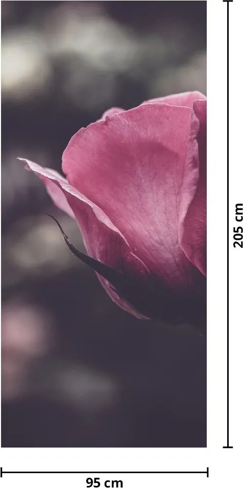 Fototapet pentru ușă - floare în prim plan (95x205cm)