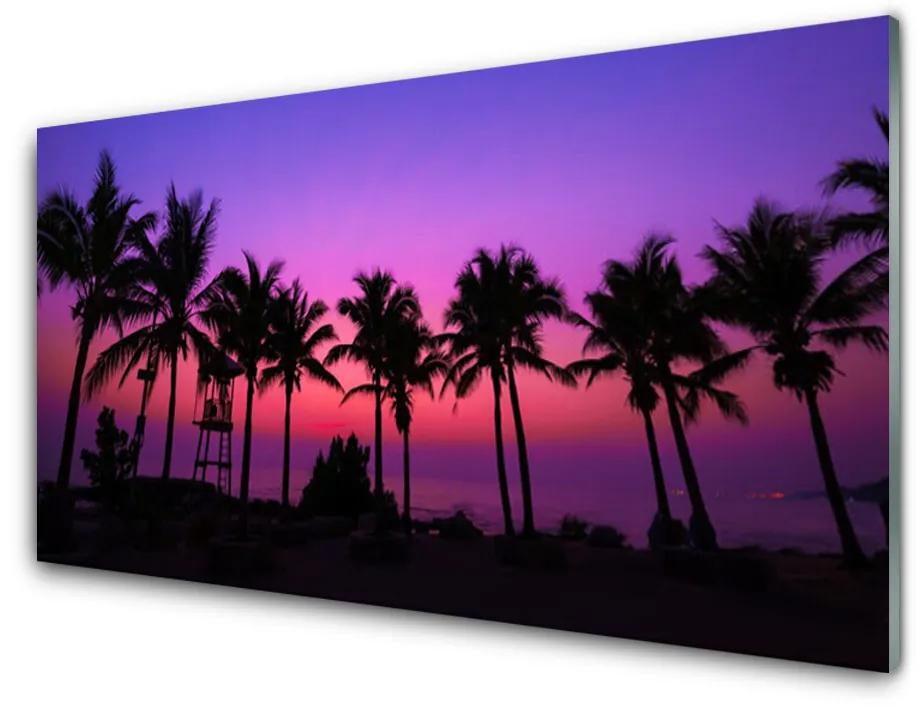 Tablouri acrilice Palm Copaci Peisaj negru violet roz