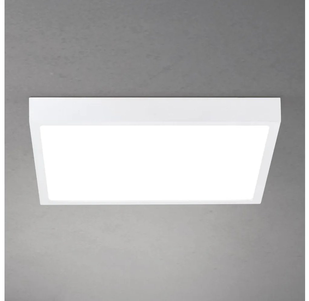 Orion - Plafonieră LED dimabilă DISC LED/30W/230V 2700/3000/4000K 39x39 cm alb