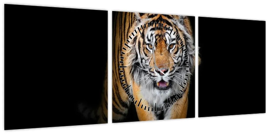 Tablou - Tiger (cu ceas) (90x30 cm)