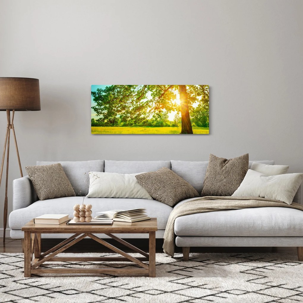 Tablou - Pădurea însorită (120x50 cm)