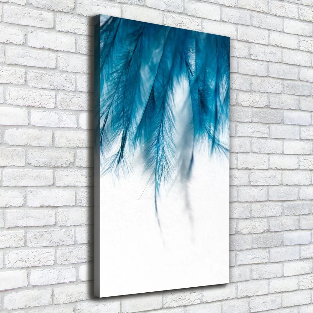 Tablou pe pânză canvas Pene albastre