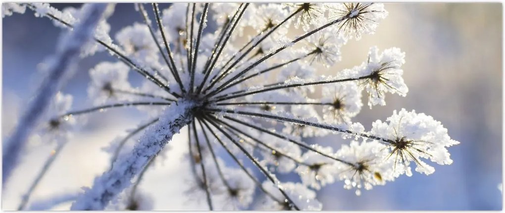 Tablou - Flori înghețate (120x50 cm)