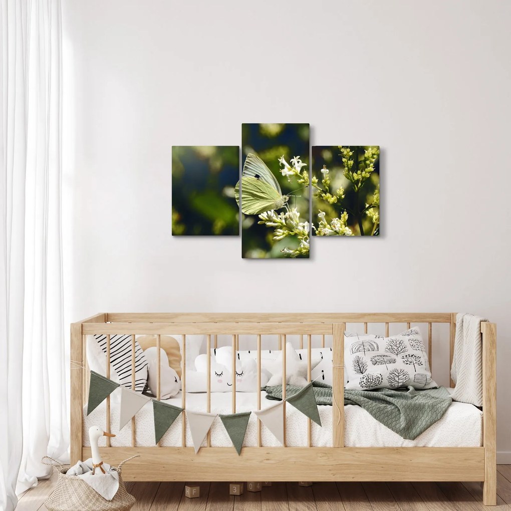 Tablou cu fluture (90x60 cm)