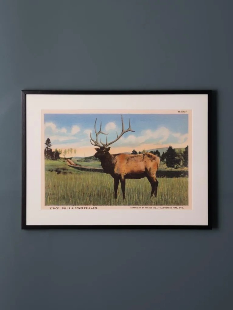 Tablou decorativ, cu rama din rasina, Deer Postcard