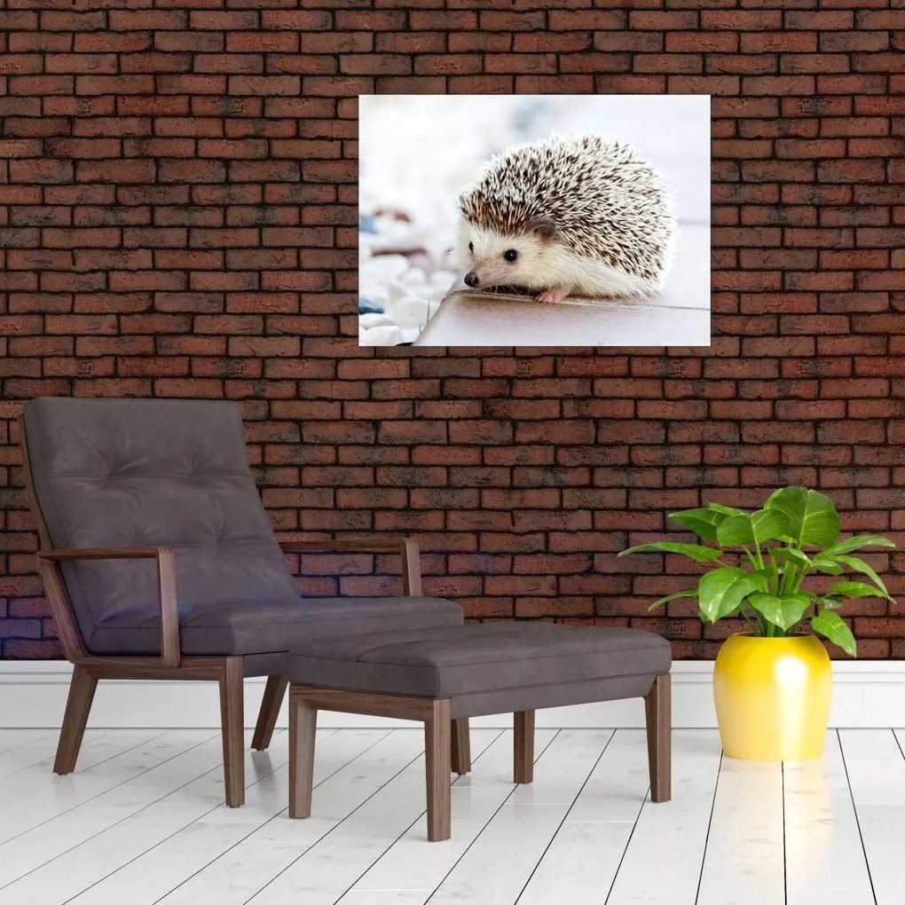 Tablou pe sticlă cu arici (70x50 cm)
