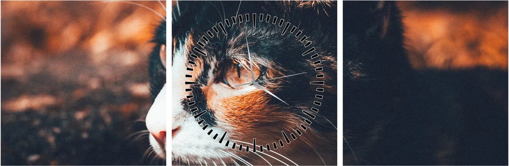 Tablou - Privirea pisicii (cu ceas) (90x30 cm)