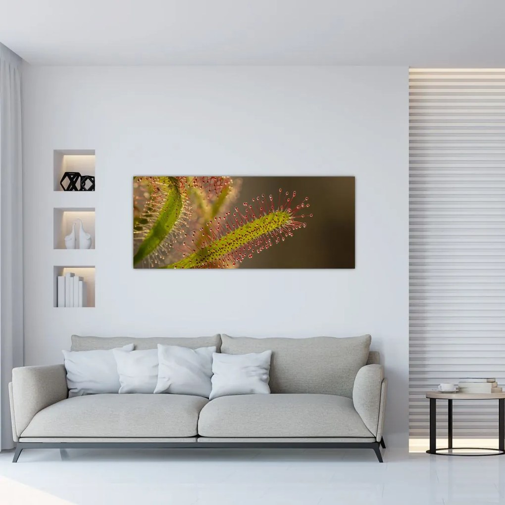 Tablou cu plantă (120x50 cm)