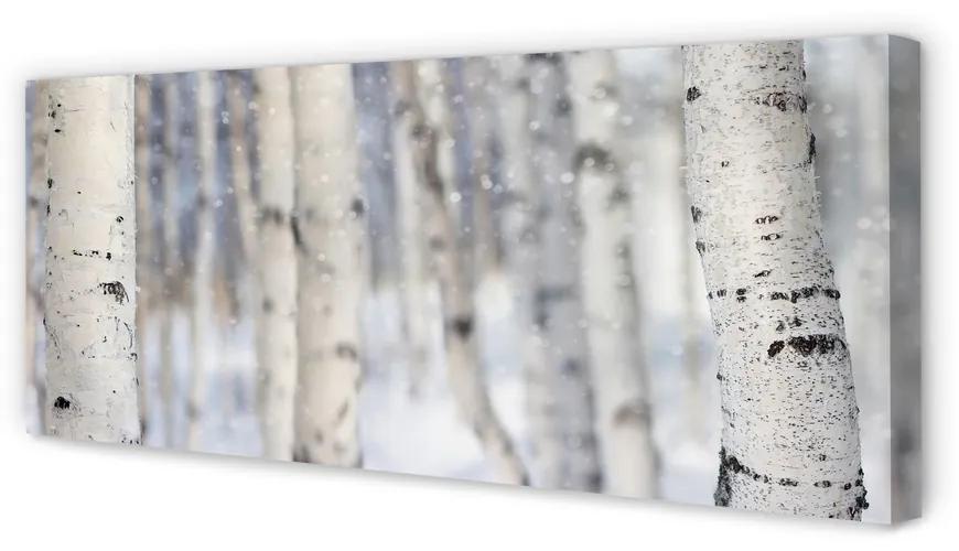 Tablouri canvas Copaci de zăpadă de iarnă